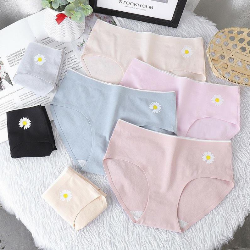 ( ĐƯỢC CHỌN MÀU ) Quần Cotton Ép Phối Họa Tiết Hoa Cúc Cực Hót .
