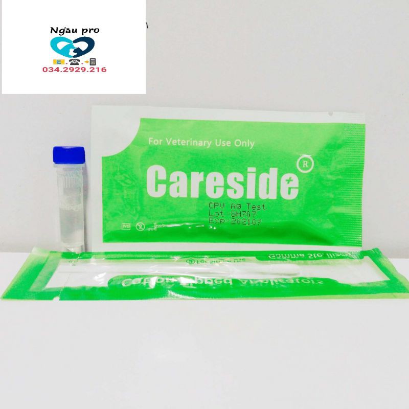 Que test xét nghiệm chuẩn đoán nhanh bệnh care CDV và Parvo CPV chó kit Careside hàn quốc