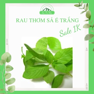 Hạt giống rau é trắng rado 189 rạng đông i ba tri nhỏ
