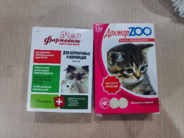 Combo Vitamin Mèo Bầu Mèo Đẻ Mèo Con Neo Zoo