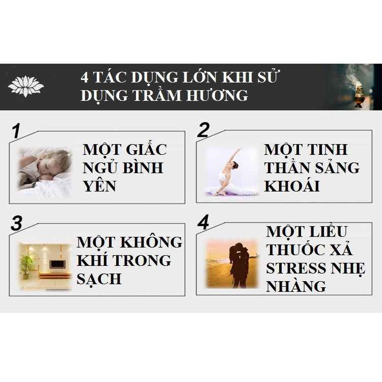 Combo 300 Nụ Trầm hương xông phòng thảo mộc dùng cho thác khói (Nhiều hương)