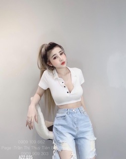 ♥️Croptop Body Cổ Bẻ Trơn