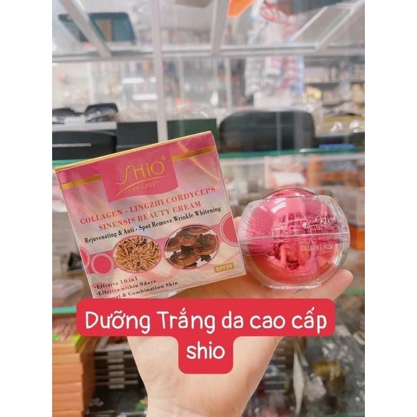 KEM DƯỠNG SHIO