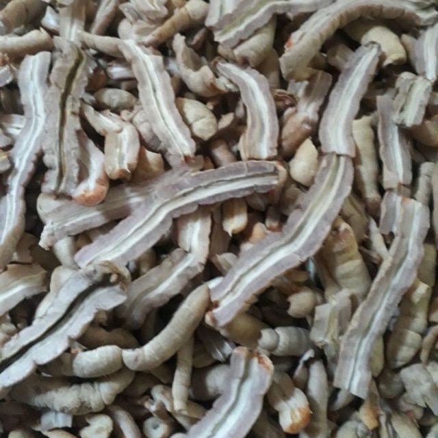 Củ ba kích tươi 500g tách lõi
