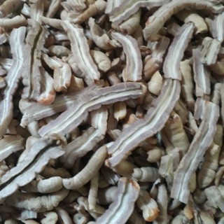 Củ ba kích tươi 500g tách lõi