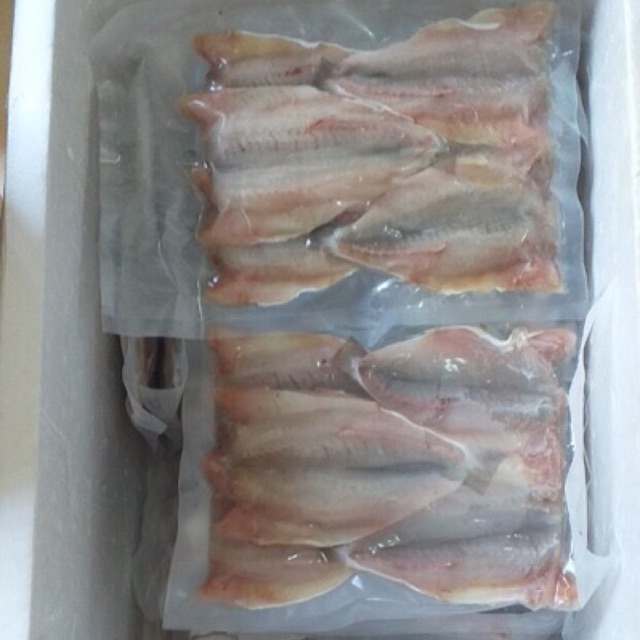 Cá Đù 1 nắng