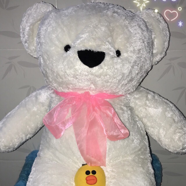 Gấu lông xù teddy💥