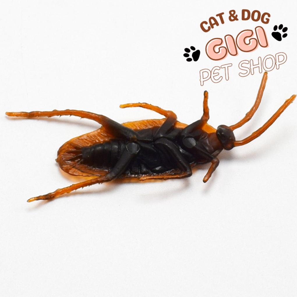 Gián đồ chơi cho thú cưng chó mèo giả trí phụ kiện được mô phỏng như thật - GiGi Pet Shop