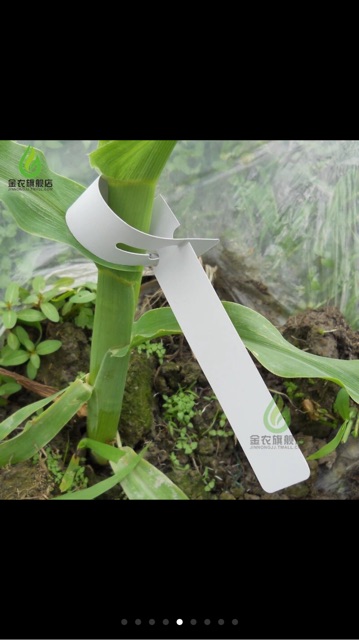 Thẻ ghi tên cây- 100 cái