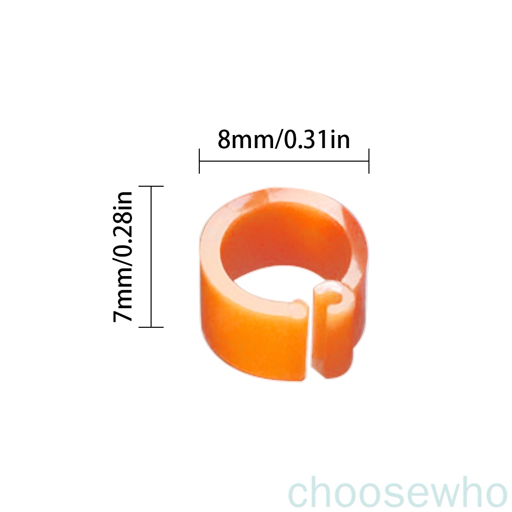 Set 100 vòng nhựa đeo chân cho chim bồ câu tiện dụng