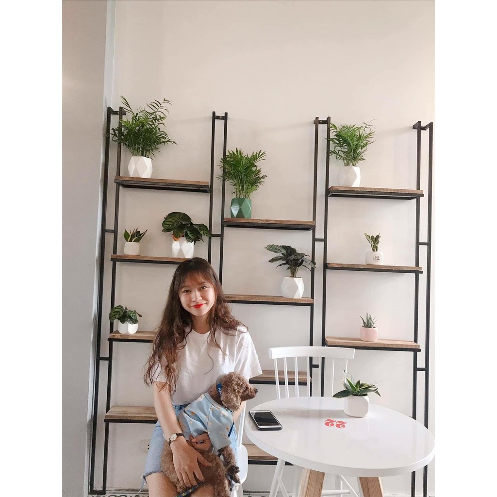 Áo Thun Nữ 🌹FREE SHIP 🌹 Áo Phông Nam Nữ Kirkland | BigBuy360 - bigbuy360.vn