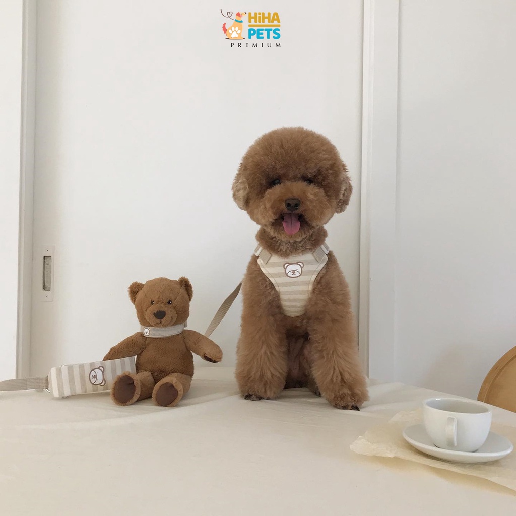 Dây Dắt Chó Mèo Đi Dạo Hình Gấu Chất Liệu Bông Nguyên Thuỷ Gồm Có Yếm Kèm Dây Dắt Thú Cưng Hàn Quốc Premium Hiha Pets.