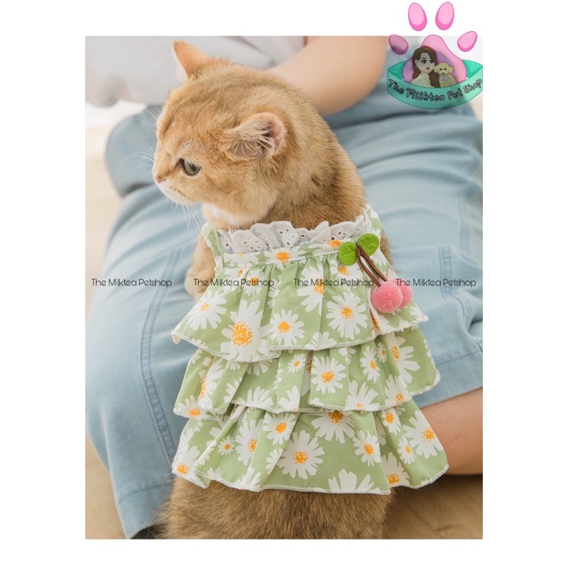 Váy xanh 3 tầng hoa cúc cho thú cưng - cún mèo