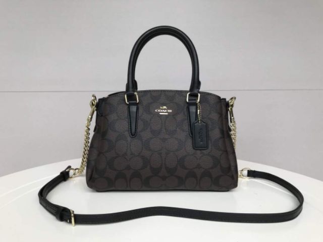 Coach văn phòng 4 màu