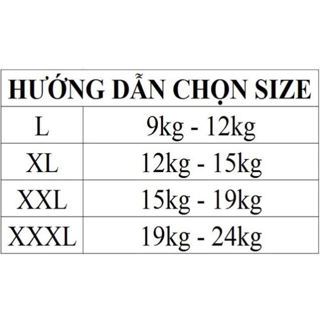 Set 10 Quần Lót Dạng Đùi 3D Cho Bé Gái ( 10 Quần )