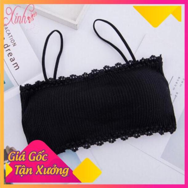 Áo Bra Cotton Tăm Viền Ren Cài Sau Siêu Mềm 8832