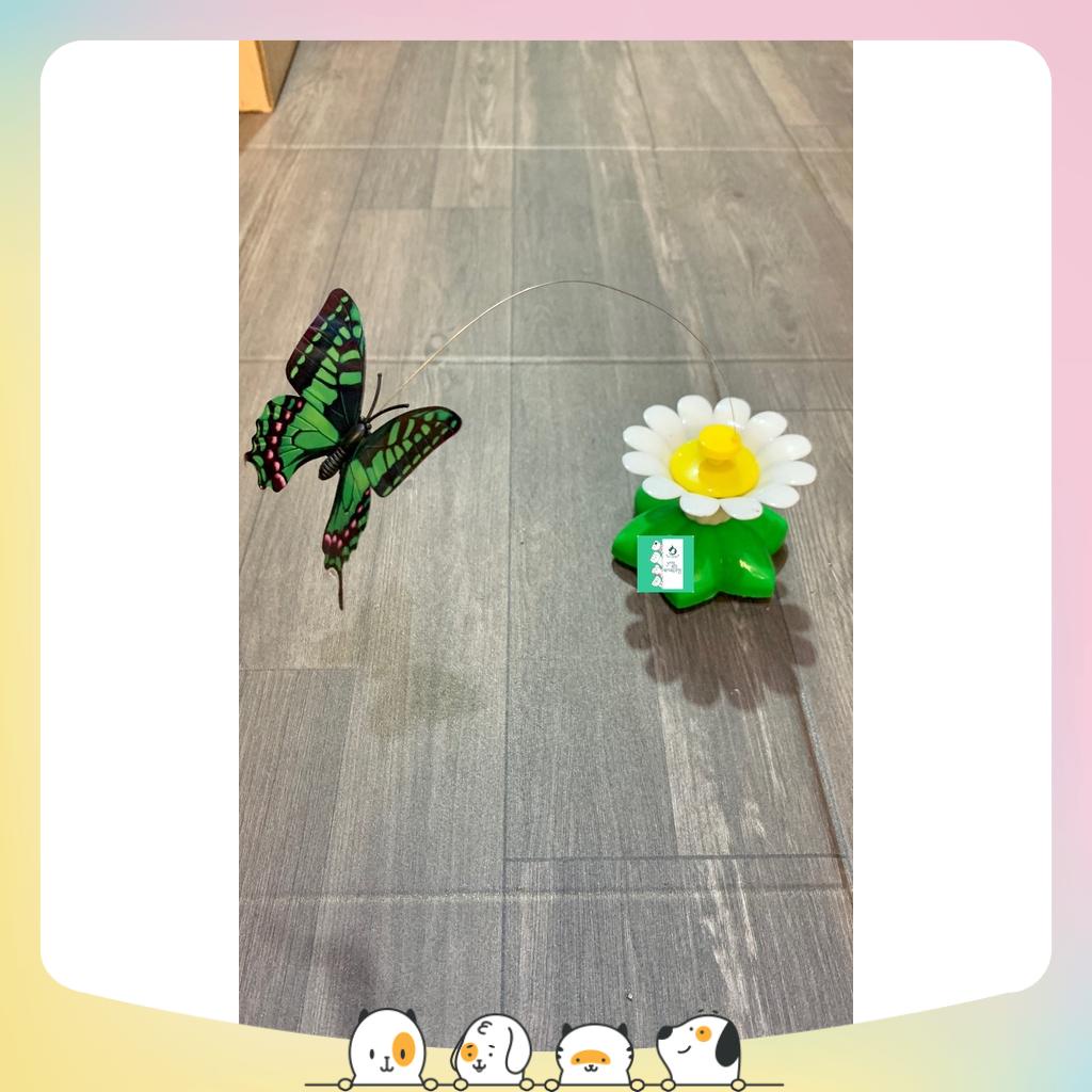 Bươm bướm điện cho mèo chơi