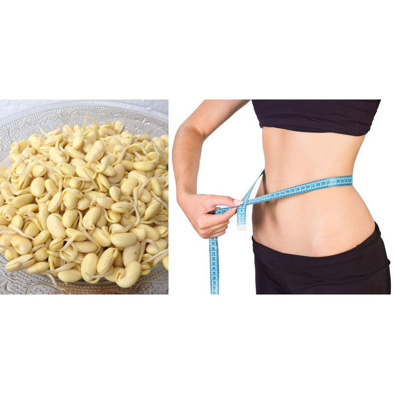 🌿🌿MẦM ĐẬU NÀNH NGUYÊN XƠ MOM BEAUTY GIÚP TĂNG VÀ SĂN CHẮC VÒNG 1 ĐẸP DA DÁNG THON  hộp 500gr | BigBuy360 - bigbuy360.vn