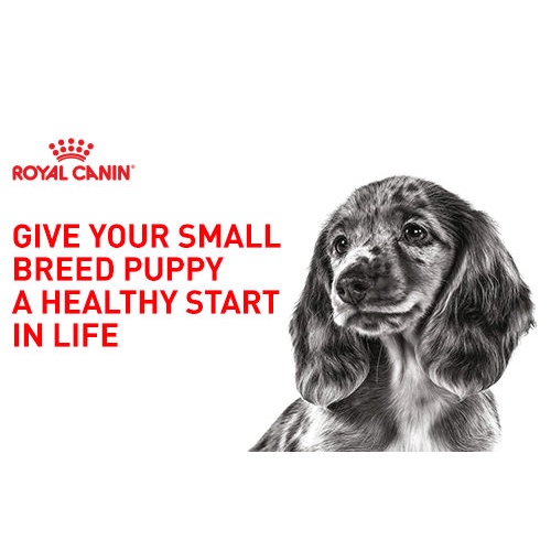 4kg - Hạt chó con Maxi Puppy Royal Canin dành cho Chó con giống lớn khi trưởng thành nặng 26 - 44kg