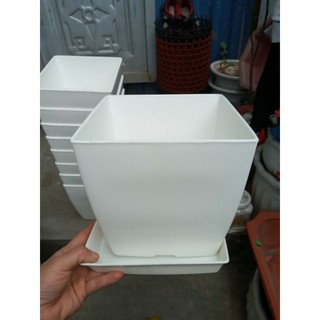 Chậu vuông 20cm loại 1 có đĩa hứng nước