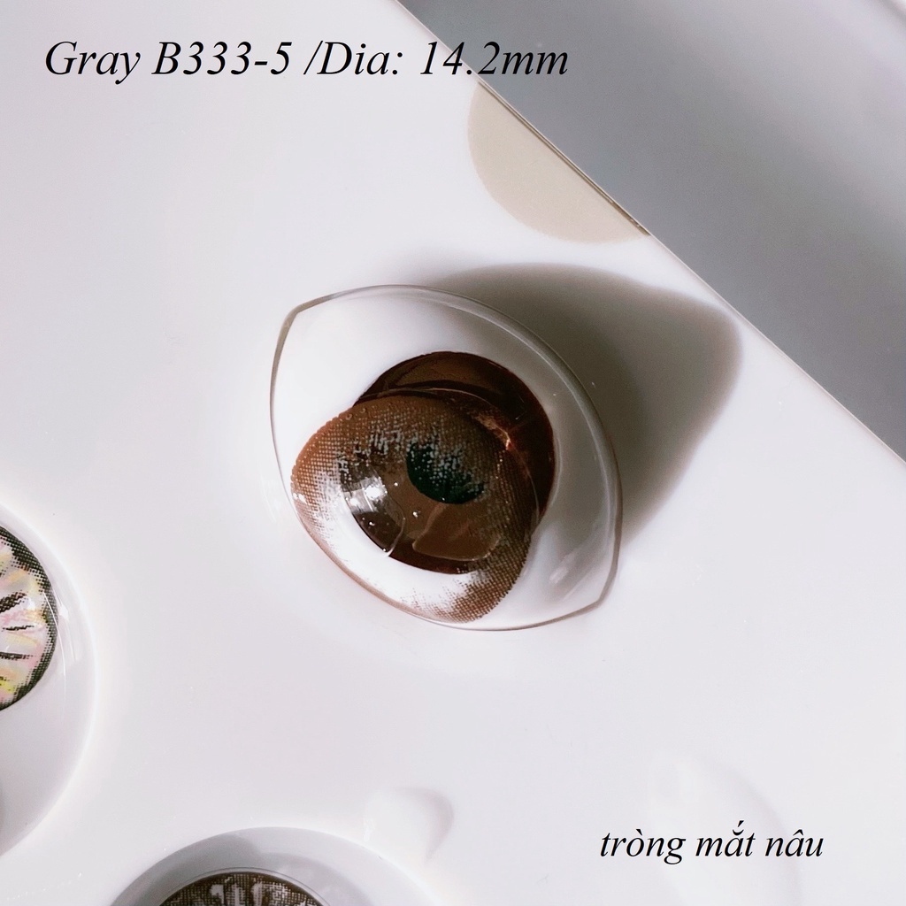 Lens Gray B333-5 [EXP 9/2023] (kính áp tròng Sona Hàn Quốc)