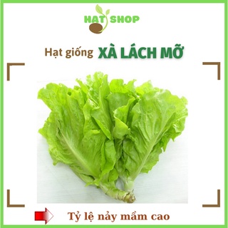Hạt giống xà lách mỡ trang nông-xà lách tn 591 - hạt shop