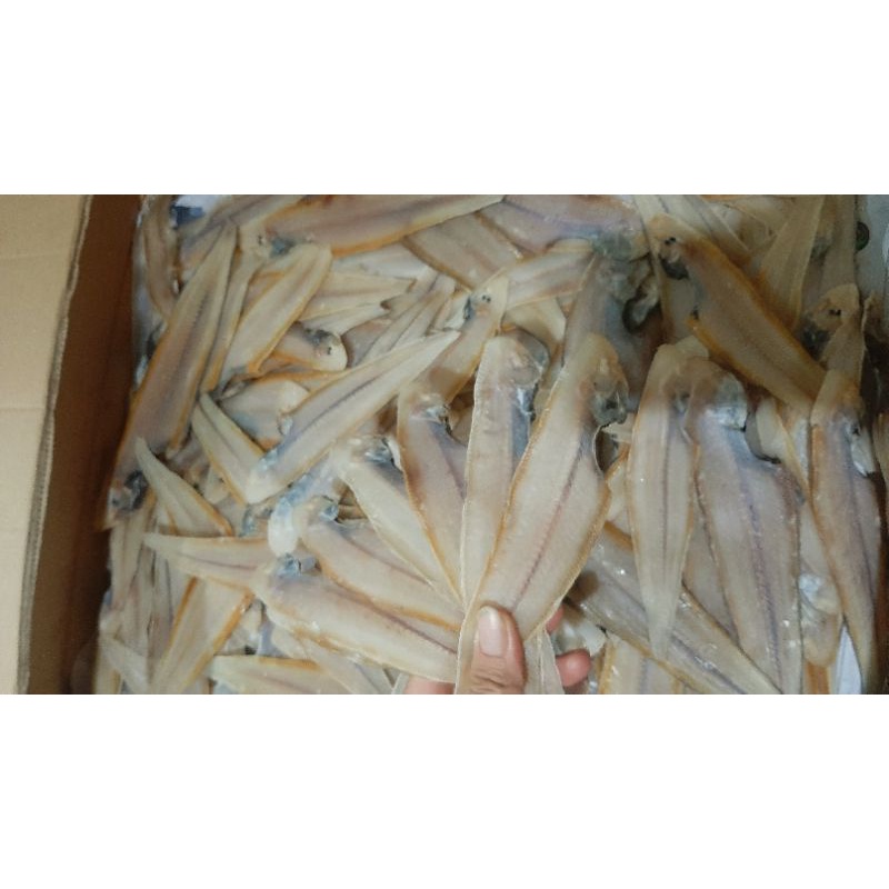 Khô cá lưỡi trâu 3 nắng ngon ạ