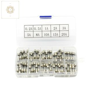 100 cầu chì ống thủy tinh 5x20mm