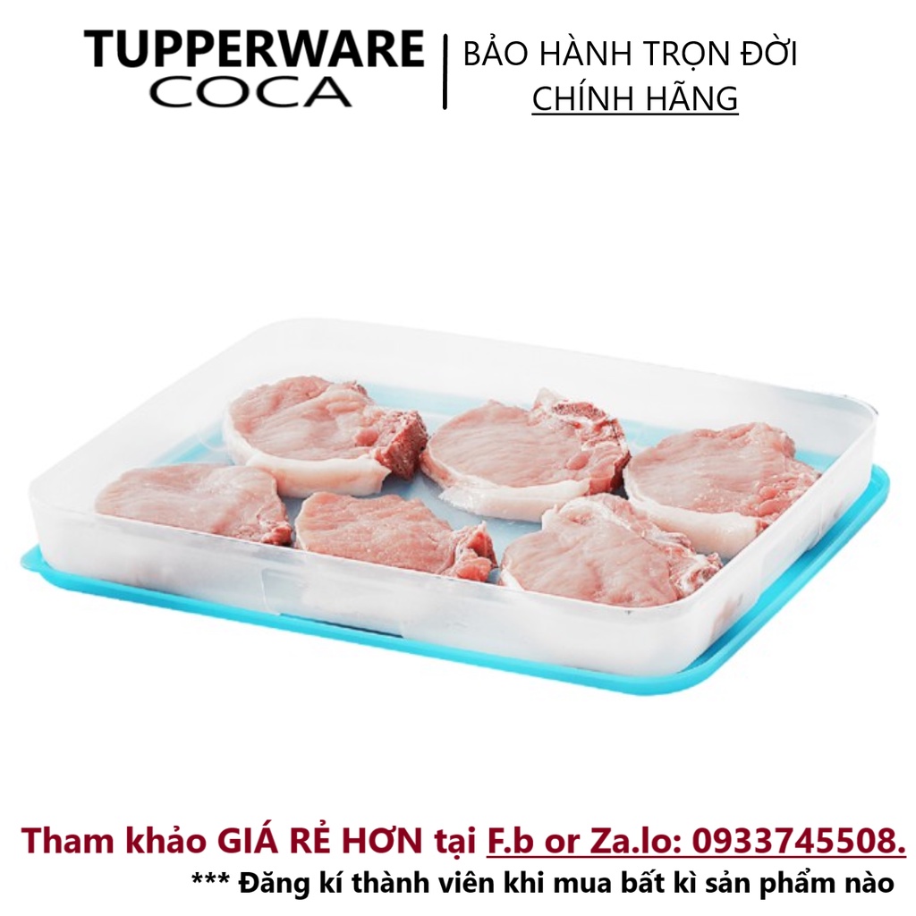 TUPPERWAREHOUSE MALL - Hộp Trữ Đông Freezermate 1.2L Thấp Tup  Shopee