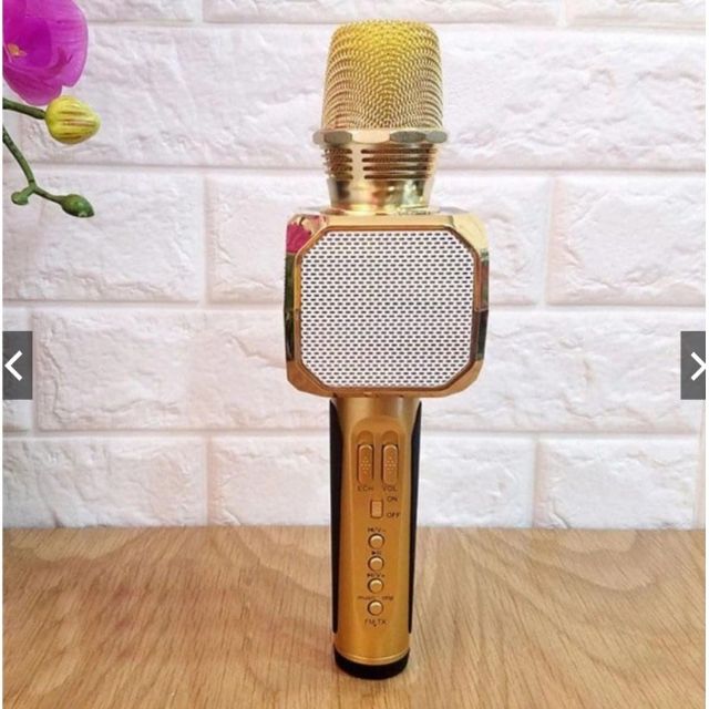 Micro karaoke kiêm loa bluetooth sd 10 mới chính hãng