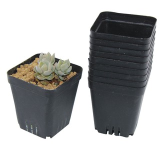 combo 10 Chậu nhựa đen vuông 7cm