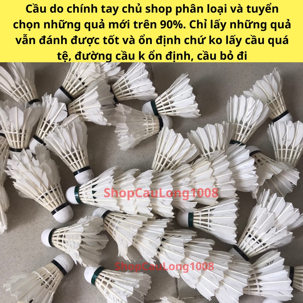 Quả/Trái cầu lông cũ tiêu chuẩn thi đấu, chất lượng mới 90%, dùng để tập luyện, giải trí