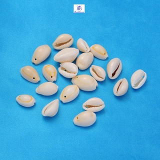 Bộ 100 Vỏ Sò Tự Nhiên Kích Thước 10~16mm Dài 10~11mm Rộng 3~5mm Có Lỗ Dày 2mm