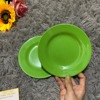 Đĩa nhựa tròn đĩa 6 cạn xanh lá DC 66
