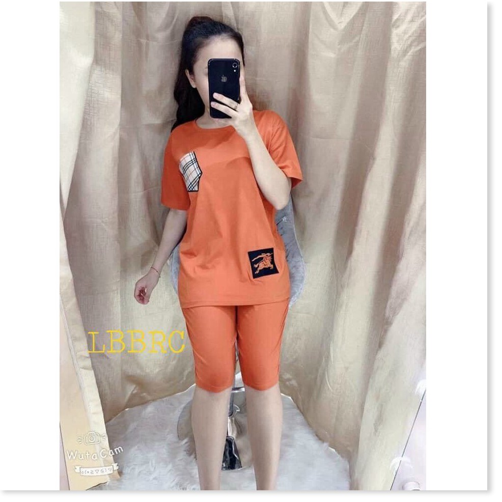 SET BỘ THUN NỮ,THIẾT KẾ HỌA TIẾT XINH XẮN,CHẤT LIỆU VÃI CO GIẢN VÀ MỀM MỊN KHÁNH AN STORE