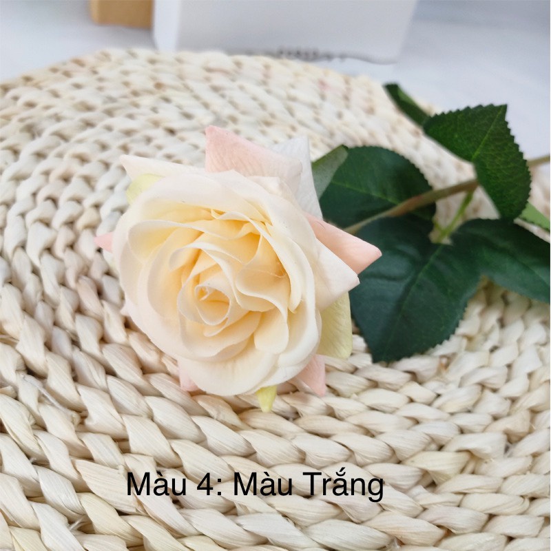 Hoa giả | HOA HỒNG LỤA PATTAUSTIN PHỦ PHẤN SÁP LOẠI ĐẶC BIỆT GIỐNG THẬT