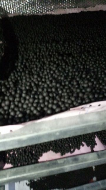 [GIÁ HỦY DIỆT] 1 Hộp 500g Viên Hà Thủ Ô mật ong Tuệ Minh chất lượng thơm ngon | BigBuy360 - bigbuy360.vn