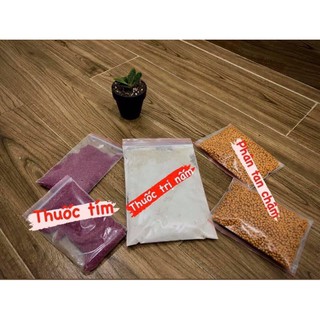 COMBO 3 LOẠI PHÂN THUỐC CHĂM SÓC TRỌN ĐỜI SEN ĐÁ,XƯƠNG RỒNG. (trị nấm, phân tan chậm, thuốc tím)