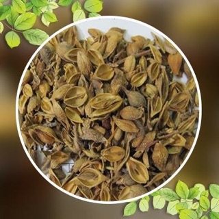 Liên kiều khô đẹp 100g