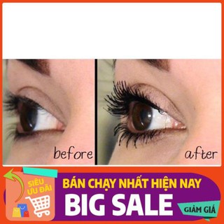 Mascara chuốc mi dày mi x10