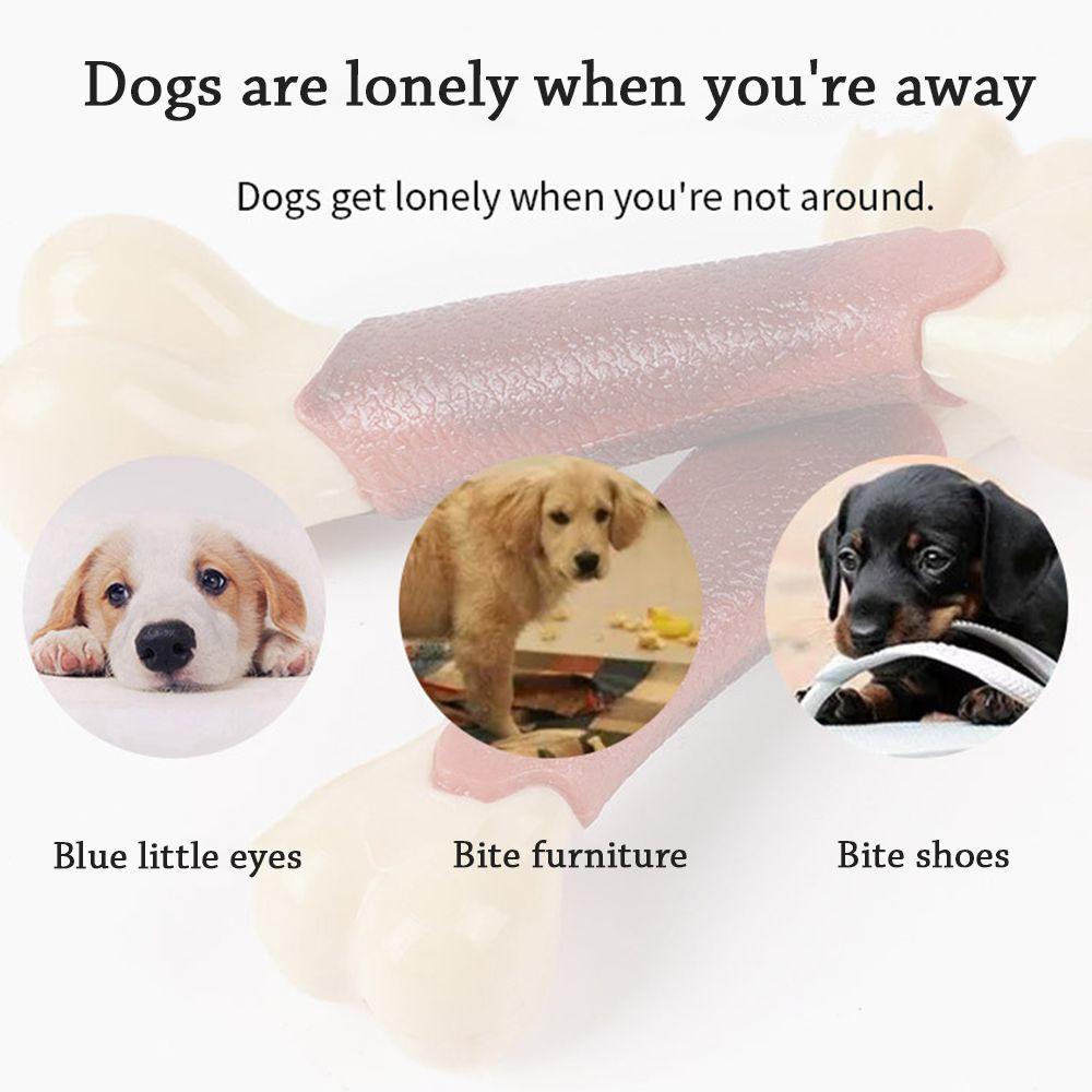 Suyo Đồ Chơi Ngậm Cắn Cho Thú Cưng Có Mùi Hương Dễ Chịu