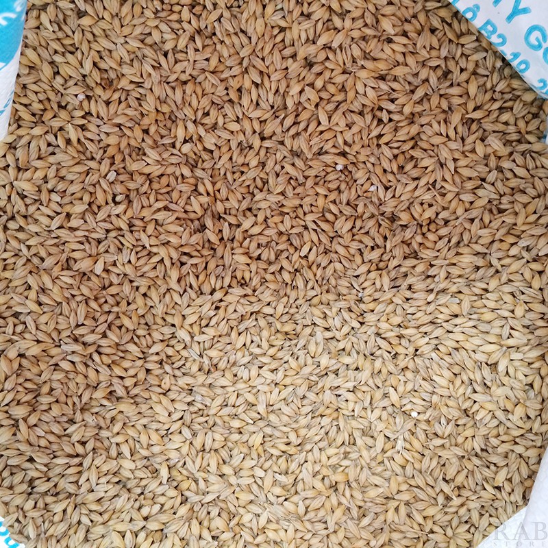  Hạt lúa mạch (Đại Mạch) thức ăn dinh dưỡng cho thú cưng cung cấp nhiều chất xơ, gói 1Kg