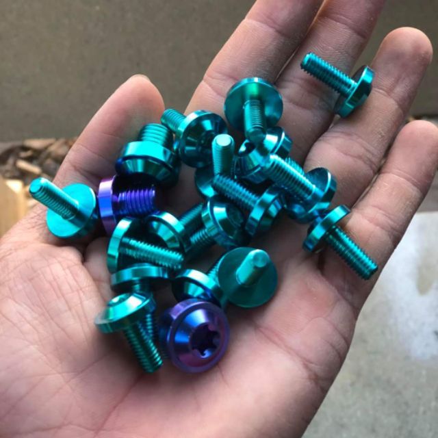 ( RẺ NHẤT SHOPEE ) Ốc 6ly15 bắt dàn áo bảng tên mọi loại xe