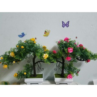 Hoa bonsai để bàn