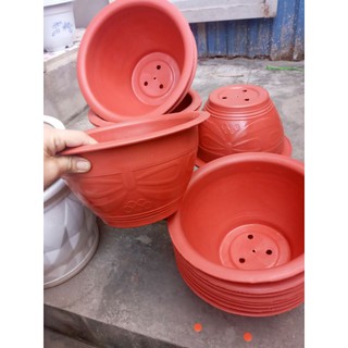 Sét 5 cái chậu cao cấp đẹp rộng 28cm x15cm