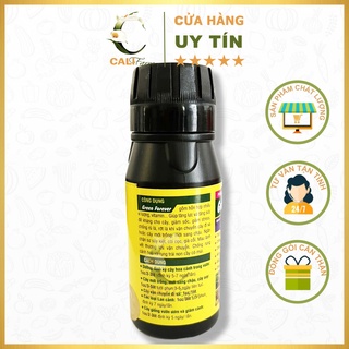 Phân Bón Vi Lượng Green Forever Stronger Thrive 100ml
