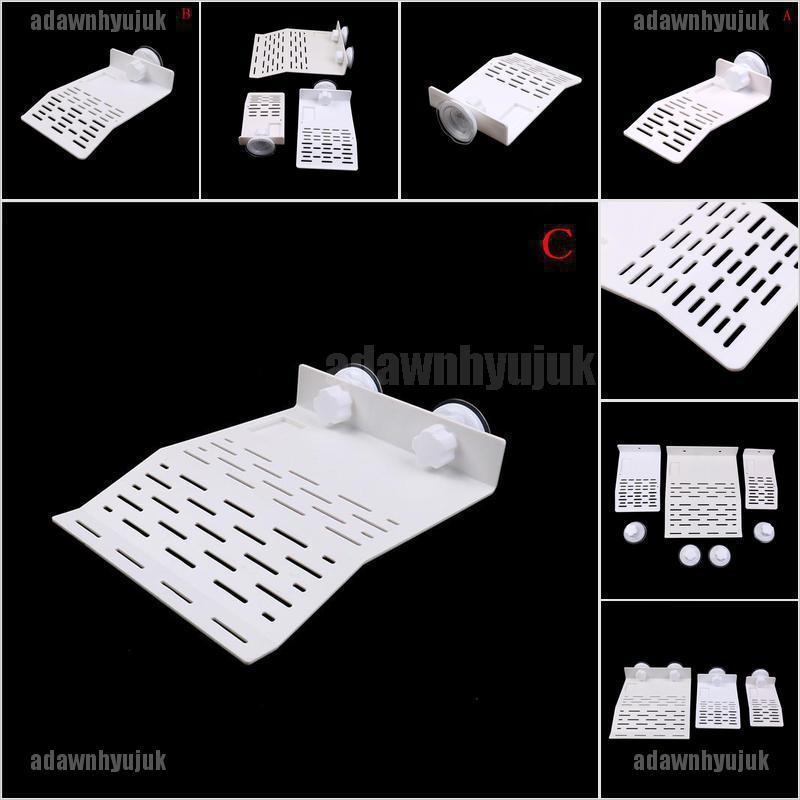 Bệ phơi nắng cho rùa thiết kế tiện dụng