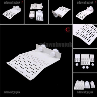 Bệ phơi nắng cho rùa thiết kế tiện dụng