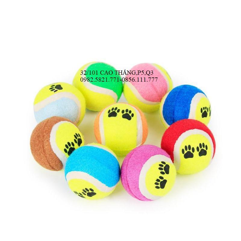 Bóng tenis đồ chơi cho chó mèo