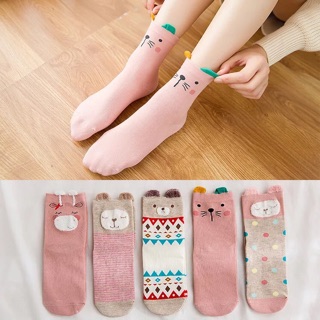 Set 5 đôi tất người lớn dày dặn cực kì kute a0114